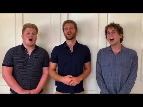 The Platt Brothers - Hodu (live)