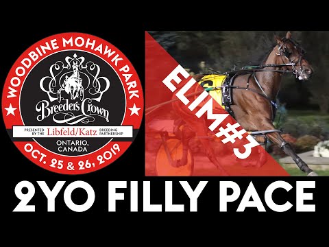 2019 Breeders Crown Elim#3 - Lyons Sentinel - 2YO Filly Pace