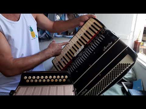 acordeon sanfona conserto e afinação
