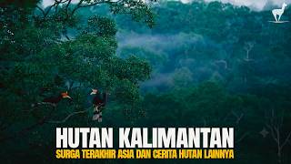 Download lagu Hutan Kalimantan: Lebih Purba dari Amazon dan Cerita Hutan Lainnya #temantidur mp3