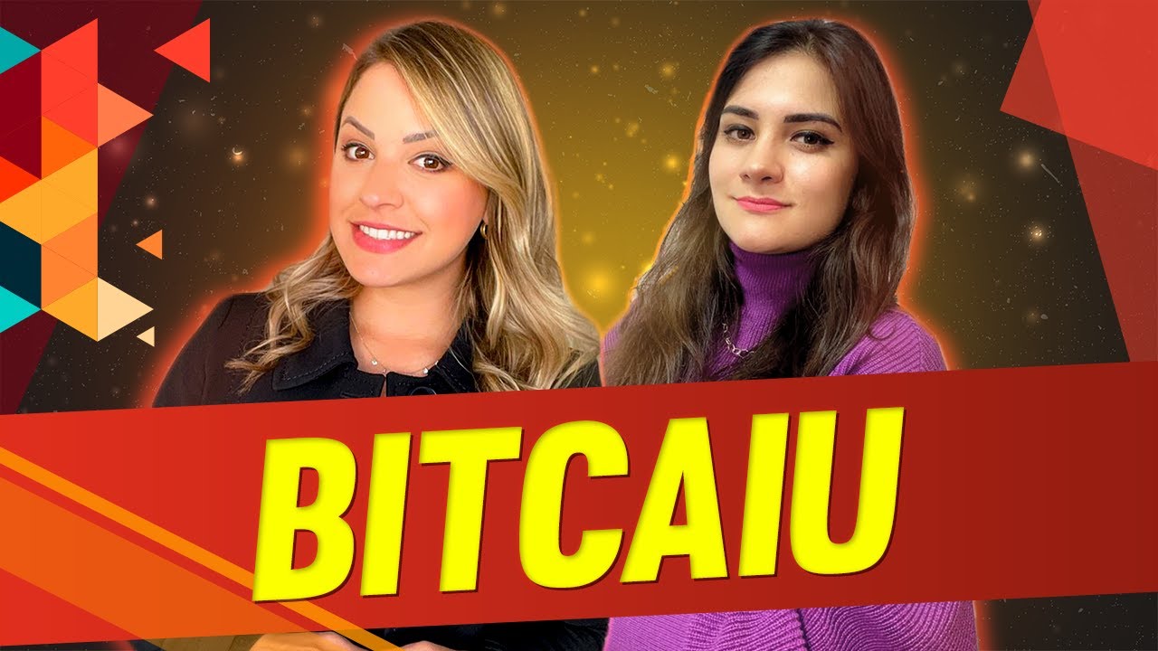 Xô, Elon Musk! Entenda os ciclos do bitcoin e como analisar se é hora de investir