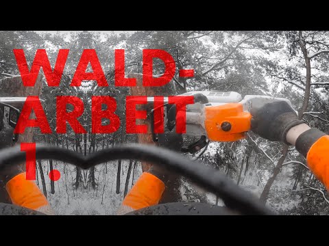 Waldarbeit Tag 1 | Schnee