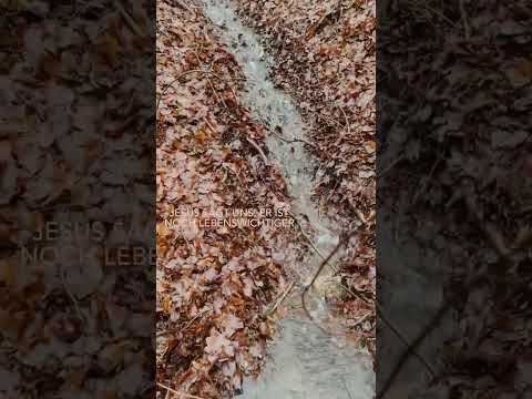 Ohne Wasser stirbt der Mensch # shorts