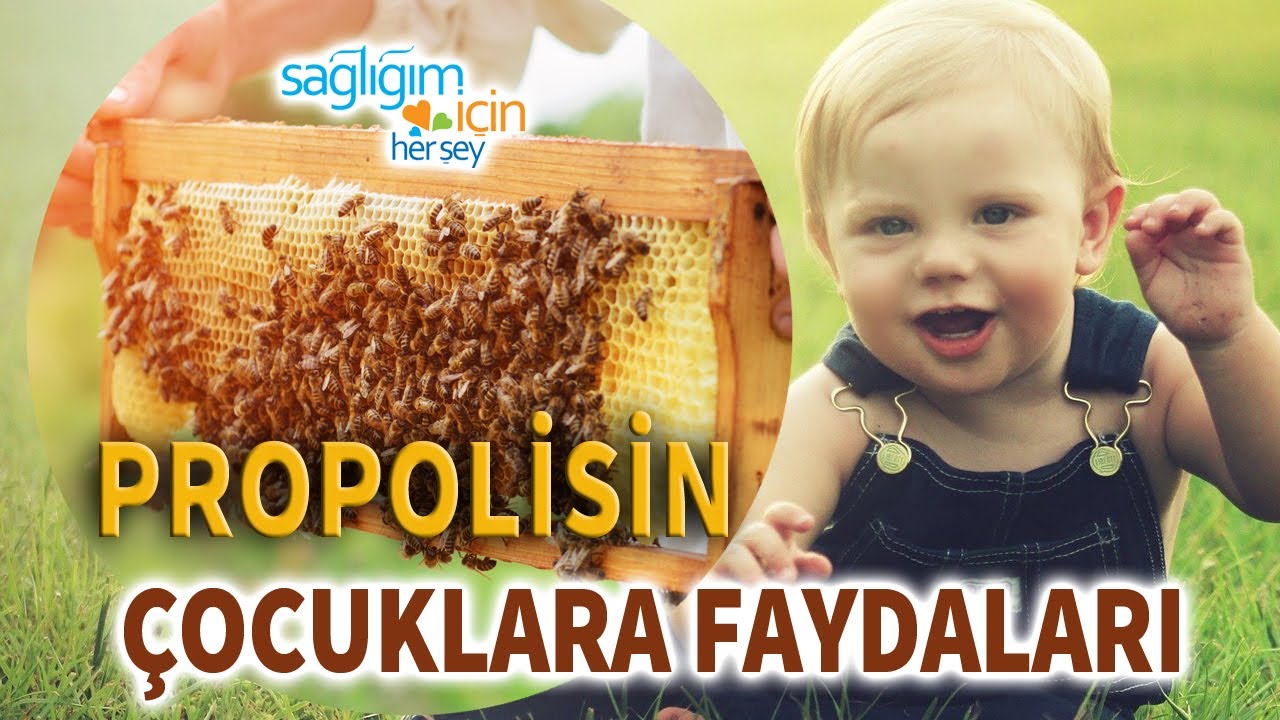 Çocuklarda Propolis Kullanımının Faydaları