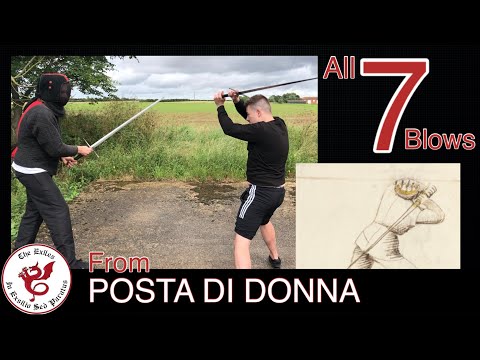 Cuts and Thrusts from this position!? | HEMA | Fiore dei Liberi