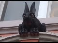 Historic Newcastle Vampire Rabbit