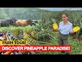 FARM HEAVEN Libreng Pabahay Paaral Healthcare For Farmers Karen Davila Ep231