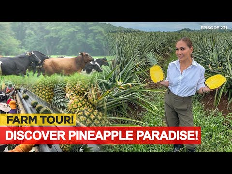 FARM HEAVEN? Libreng Pabahay, Paaral, Healthcare For Farmers! | Karen Davila Ep231