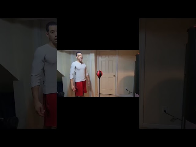 Vídeo relacionado con FREEGUN Boxeador Ajustado (Lote de 5) para Hombre, 06, XL