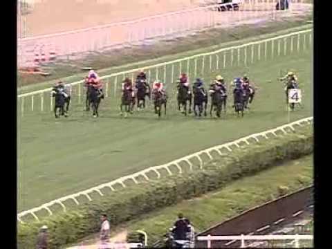 Premio Regina Elena 2012 (GRUPPO 3)