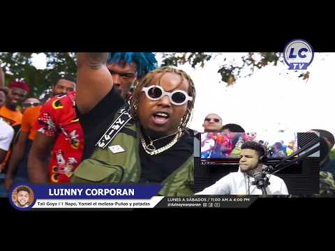 Tali Goya ❌ Napo ❌ Yomel el meloso - Puños y patadas (VIDEO REACCION)