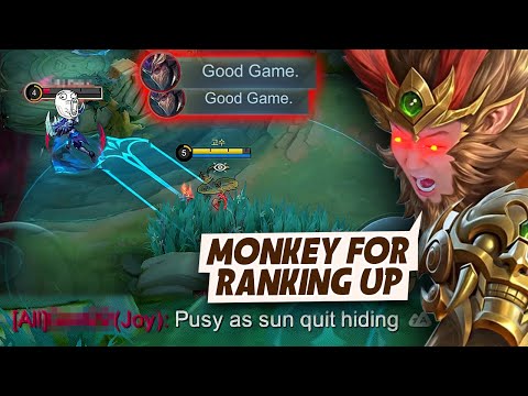 OMG! Sun is actually strong in this meta