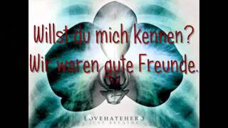 LoveHateHero - The Risk (Übersetzung)