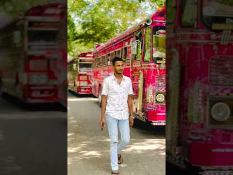 Damrajini/supun Wijesinghe/NL BUS world YT/#viralshorts