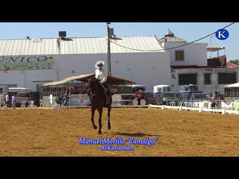 Manuel Morillo Romero, caballo Camalgo 4º Final de la  XVII  Semana del Caballo en Carmona 2018