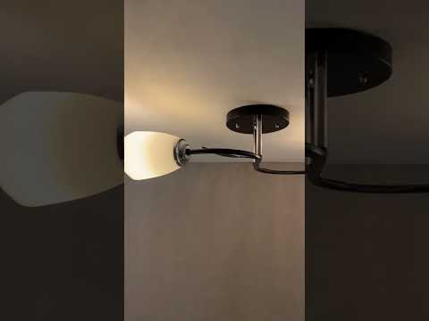 фото светильник потолочный люстра 1011/2-черный+хром 0