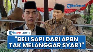 MUI Sebut Tak Masalah Prabowo Beli Sapi Kurban Pakai APBN, Asalkan atas Nama Negara untuk Rakyat