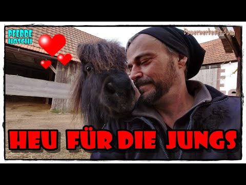 Neue Heuraufe für die Jungs WG | Pferde Hoschi