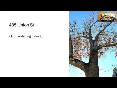 12.10.2025 Trees and Public Greenery Committee