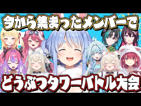 【緊急】今から集まったメンバーでどうぶつタワーバトル大会開催します✨✨ぺこ！【ホロライブ/兎田ぺこら】