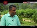 govibimata-arunlu-19-11-2018