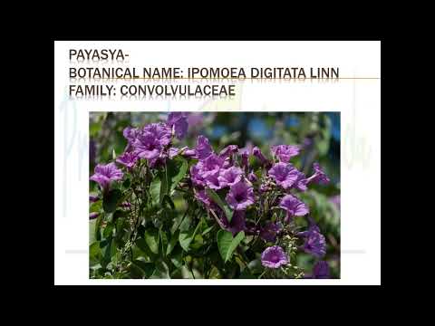 mahakashay contd : balya mahakashay (बाल्य महाकषाय )