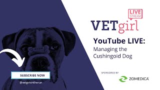 February 23, 2022: Managing the Cushingoid Dog