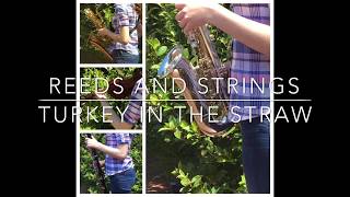 Turkey in the Straw - Cover by Reeds and Strings