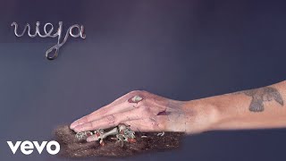 Aterciopelados - Vieja (Audio)