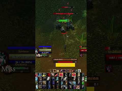 The Best Pet In Classic Wow