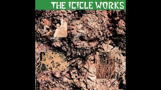 The Icicle Works -- &quot;As The Dragonfly Flies&quot; (2006 remaster)