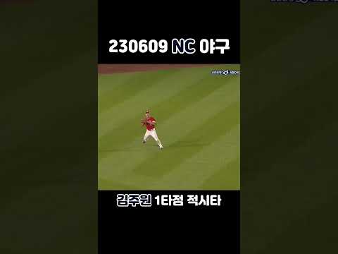 230609 NC 야구, 31년만에 대기록을 함께한 NC 다이노스