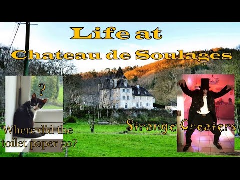 WHERE DID THE TOILET PAPER GO?