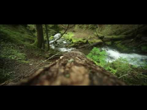 Westside of the Olympics