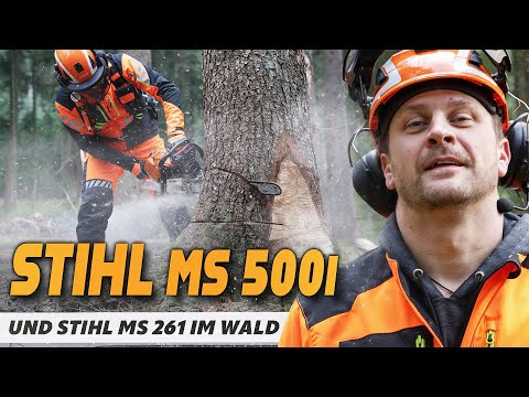 PROFIWARE! 💪🤩 STIHL MS500i & STIHL 261