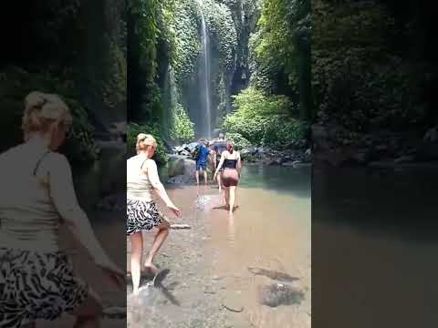 Exploring a hidden gem at the most exotic Bali waterfalls‼️ #baliwaterfalltour