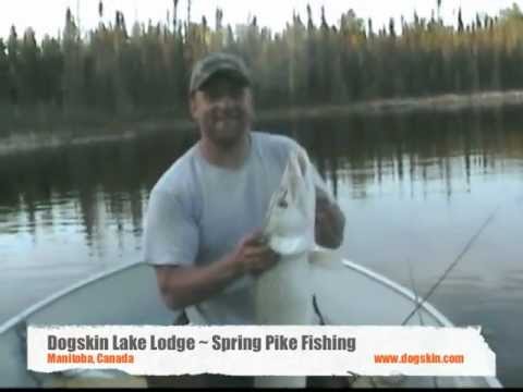 Dogskin Lake Lodge - Spring Pike Fishing
