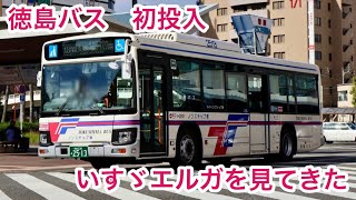 Download lagu 【徳島バス 初投入】いすゞ　エルガ　大型ノンステップバスを見てきた mp3