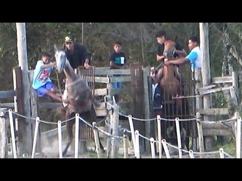 Corridas de Cavalos - Domingueira - Prado do Juca Rosa
