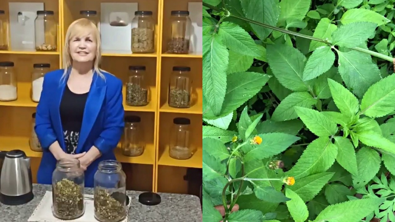 Acaba com Queimações, Dores na Coluna, Má Circulação… (2 Receitas) 💝 MARILENE SARAH FIALHO