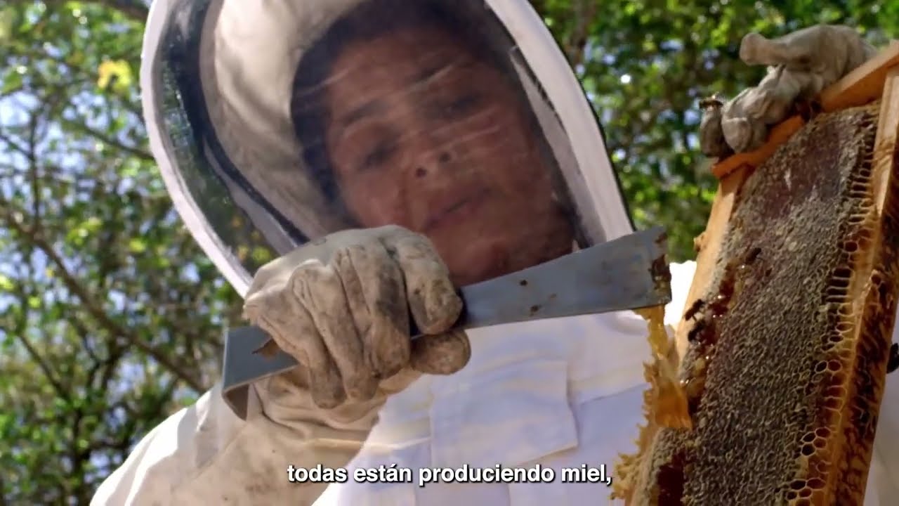 Miel que beneficia al ambiente y la comunidad - Proyecto Gente