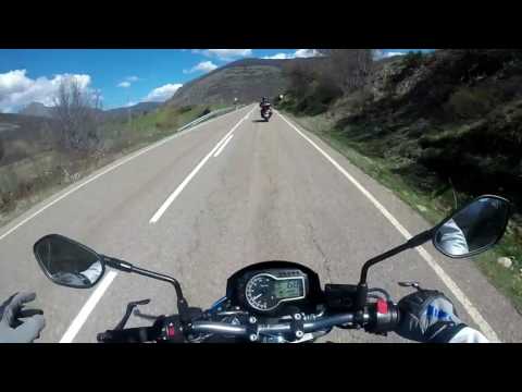 RASTRILLO MOTERO REVEYECOS