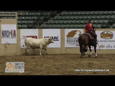 Sioux Me Mama - 2015 SBF Cow Work   Prelims