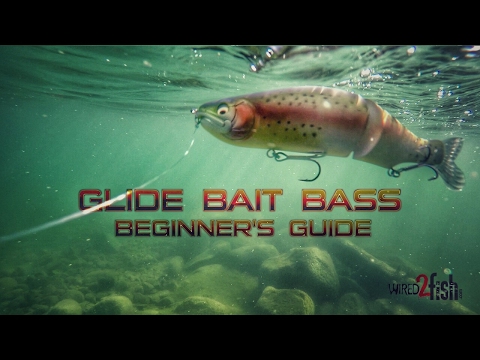 Glide Bait Fishing Bass: A Beginner's Guide