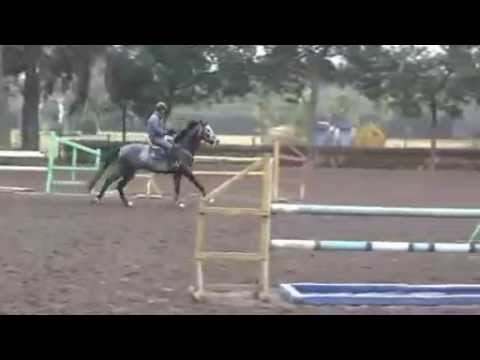 Cornet Boy Rinconada Julio 2014