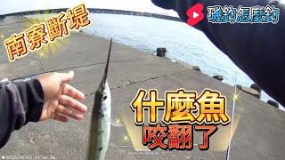 新竹南寮斷堤 什麼魚?咬翻了!  風平浪靜輕鬆釣