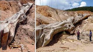 Arqueólogos foram proibidos de estudar essas descobertas para que a história não fosse reescrita