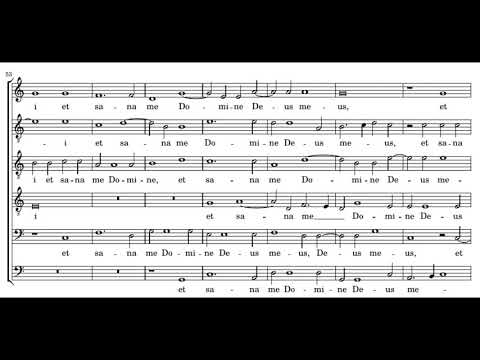Willaert: Peccata mea Domine - Singer Pur
