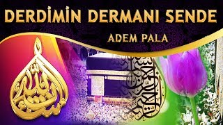 İlahi - "Bildim Bileli Ağlarım, Gülerim CAN'a Gidende" - Adem Pala / Derdimin Dermanı Sende