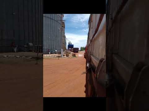 carregamento sinotruk Frísia Paraíso do Tocantins